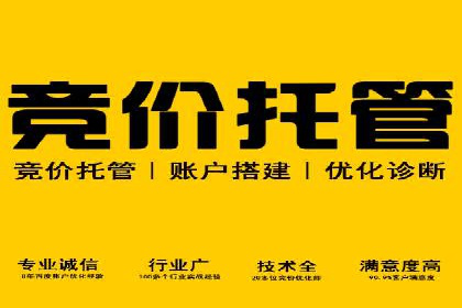 解析sem代运营公司经典案例：如何实现ROI最大化